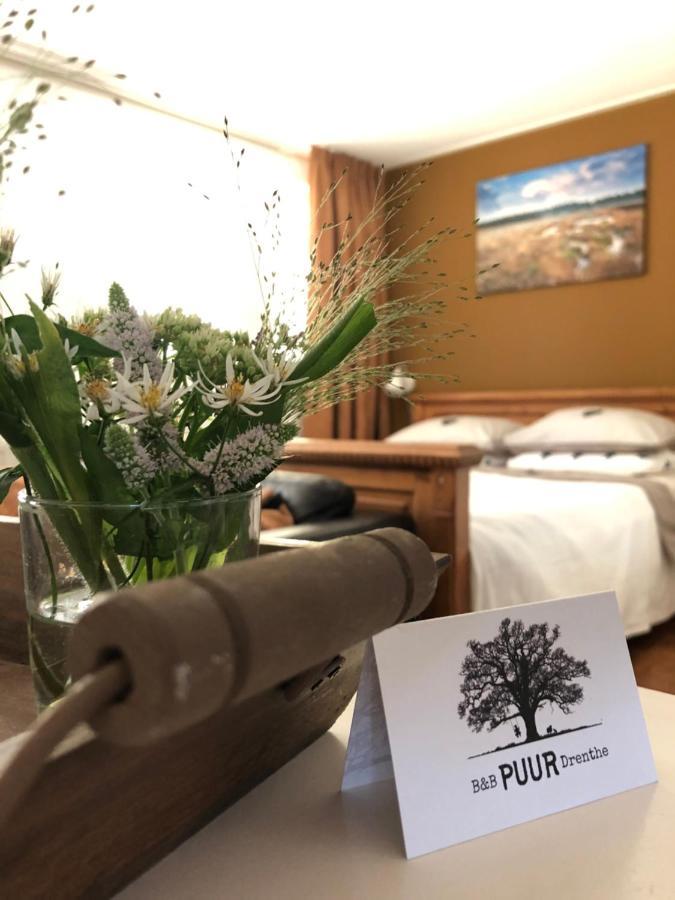 B&B Puur Drenthe Elp Екстериор снимка